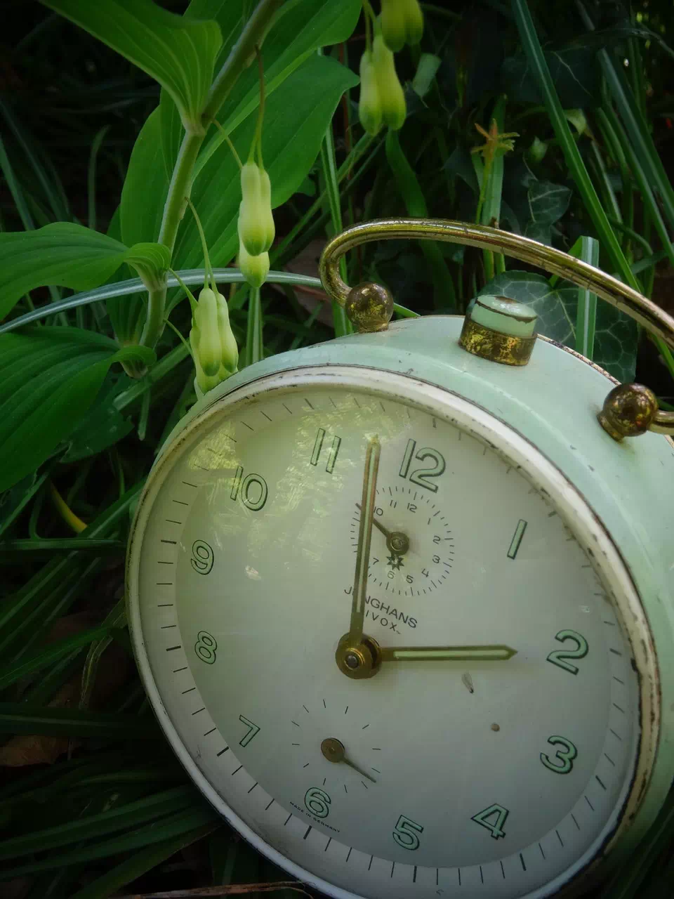 Horloge posée dans l'herbe